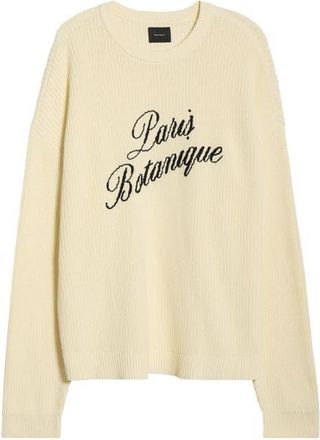 PacSun Paris Embroidered Cotton Sweater in Cream at Nordstrom, Size X-Large