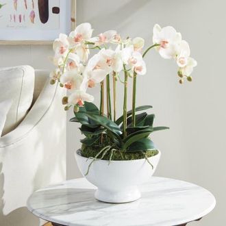 Napa Home & Garden Phalaenopsis Orchid Bowl Artificial Plant Drop-In in Pink at Nordstrom