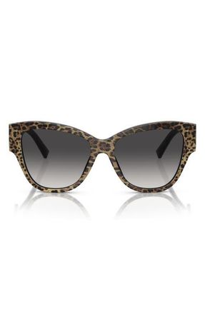 Dolce & Gabbana 54mm Gradient Butterfly Sunglasses in Brown Black /Grey Gradient at Nordstrom