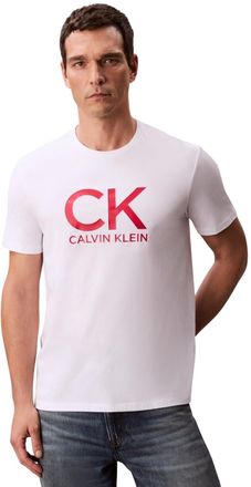 Calvin Klein Mens Short Sleeve Round Neck Graphic T-Shirt, White (Brilliant White), M