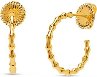 Bruno Magli Giulia Gold Hoop Earrings