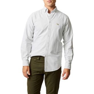 Rodd & Gunn Oxford Lakeside Stripe Sports Fit Shirt in Khaki at Nordstrom, Size Xxx-Large