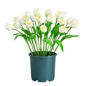 Nearly Natural 2-ft UV Resistant Artificial Tulip Plant in Green at Nordstrom