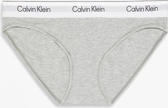 Calvin Klein Womens Calvin Klein Icon Cotton Modal Womens Bikini Brief Grey - Size: MEDIUM