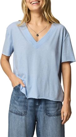 Splendid Kacey V-Neck T-Shirt in Sea Breeze Heather Blue at Nordstrom, Size X-Large
