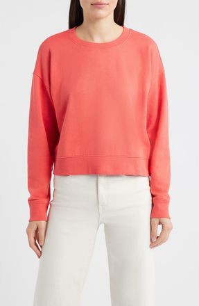 Eileen Fisher Organic Cotton Crop Sweatshirt in Watermelon at Nordstrom, Size X-Large