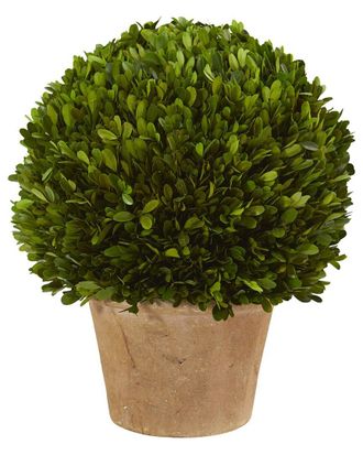 Nearly Natural 15in Boxwood Ball Preserved Plant in Planter