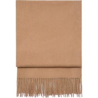 Mango Fringe Scarf in Medium Brown at Nordstrom