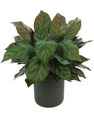 Creative Displays Inc. Uv Rated Artificial Green Plant