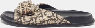 Ferragamo Vara Bow