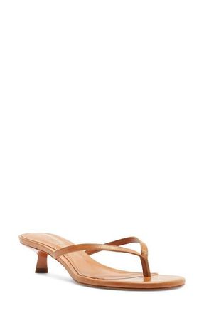 Schutz Carolyn Kitten Heel Sandal in Earth Clay at Nordstrom, Size 9.5