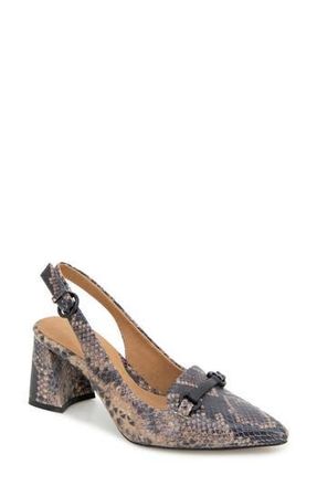 Gentle Souls Dionne Block Heel Slingback Pump in Brown Snake Leather at Nordstrom Rack, Size 10