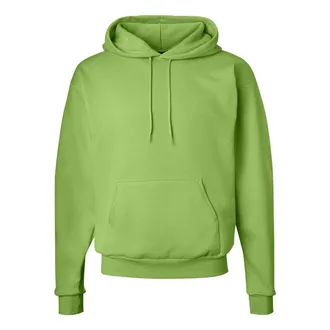 Hanes Ecosmart Hooded Sweatshirt