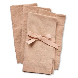 Tag Threads Slub Napkin Set of 4 in Pink at Nordstrom