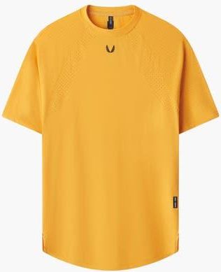 ASRV Laser-Vent Established Tee in Amber at Nordstrom, Size X-Large