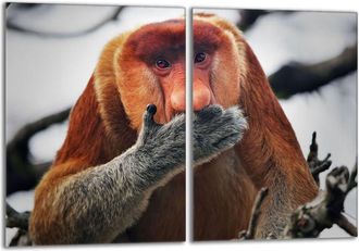 OEM Placa Protectora De Vidrio Para Estufa 2x40x52 Nosacz