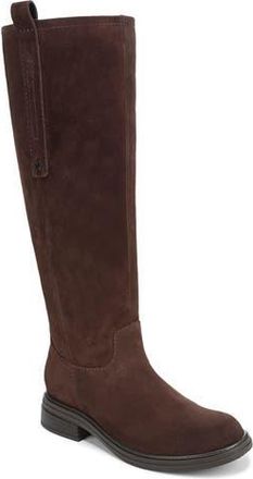 Naturalizer Ontime Knee High Boot in Chocolate Bar at Nordstrom Rack, Size 9.5 Regular Calf