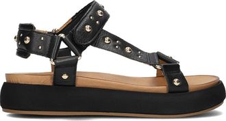 Inuovo Inuovo, Schoenen, Dames, Zwart, 36 EU, Zwarte platte sandalen met plateauzool