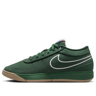 Nike Book 1 EP Flagstaff FJ4250-300