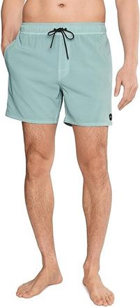Rvca VA Pigment 16 Elastic Shorts Mens Shorts Blue Haze : 2XL, Elastane/Polyester