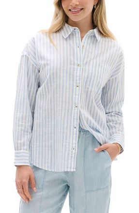 Hatley Relaxed Fit Stripe Cotton Button-Up Shirt in Blue at Nordstrom, Size X-Small