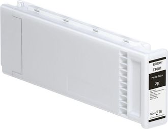 Epson Cartucho Impresora C13t800100