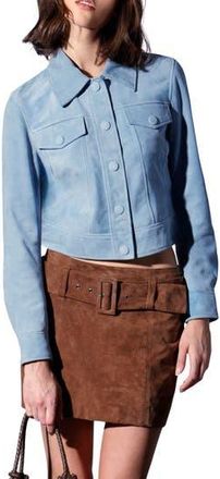 Walter Baker Kacey Leather Jacket in Baby Blue Suede at Nordstrom Rack, Size X-Small