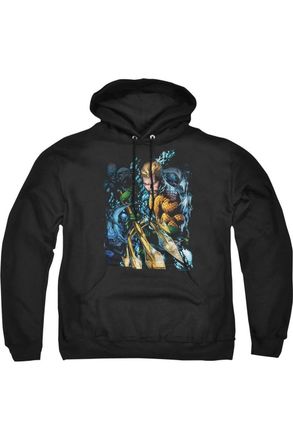 Gildan Justice League of America Aquaman 1 Adult Pull Over Hoodie / Hooded Sweatshirt