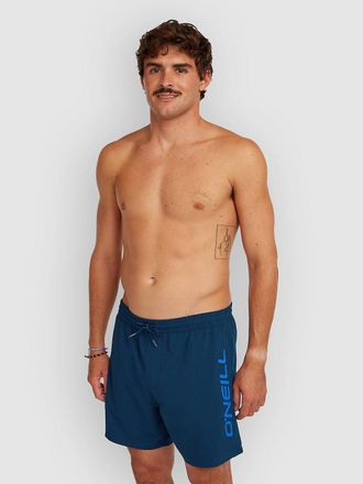 O'Neill Logo 16 Boardshorts blauw