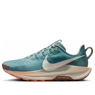 Nike (WMNS) Nike Pegasus Trail 5 Cannon DV3865-010