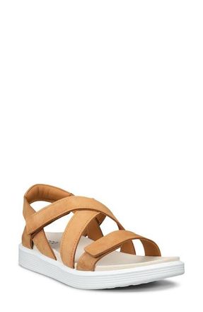 Ecco Soft Cross Strap Sandal in Lion at Nordstrom, Size 8-8.5Us
