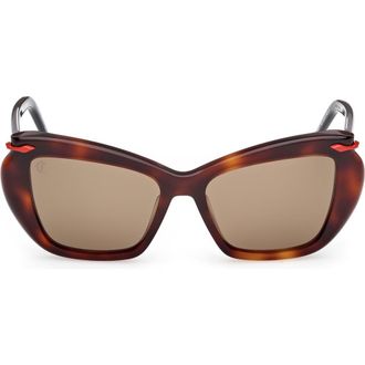 Christian Louboutin 53mm Geometric Sunglasses in Havana /Gold /Zeiss Brown at Nordstrom