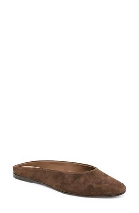 Dolce Vita Eila Mule in Dark Brown Suede at Nordstrom, Size 9.5
