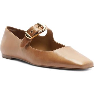 Arezzo Elena Ballet Flat in Smoke Beige at Nordstrom, Size 6.5