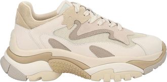 Ash Sneaker Addict