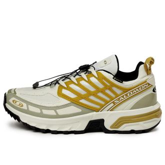 Salomon ACS Pro Gore-Tex Cicle Antelope 475998