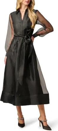 Adrianna Papell Organza Long Sleeve Gown in Black at Nordstrom, Size 14