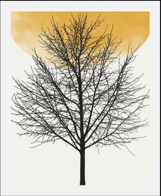 Queence Bild »Bloom« Baum Baumbilder Pflanzen Pflanzenbilder Sonnenaufgang 1 Stk. tlg. gerahmt