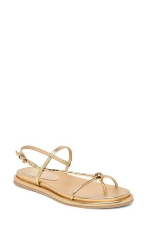 Dolce Vita Deane Strappy Sandal in Gold Distressed Leather at Nordstrom, Size 9.5