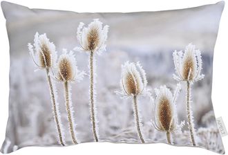 Apelt Dekokissen »5882«