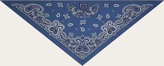Ferragamo Men Arabesque print triangle scarf Blue