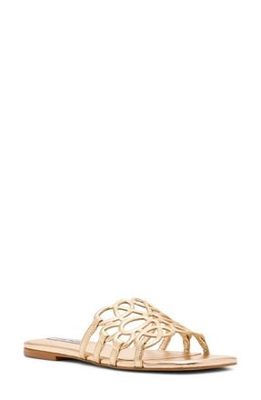 Steve Madden Lotus Slide Sandal in Gold Leather at Nordstrom, Size 10