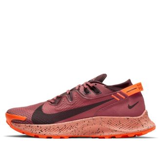 Nike Pegasus Trail 2 Canyon Rust CK4305-601