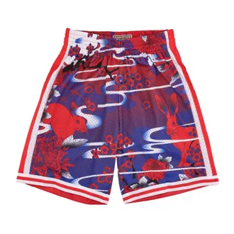 Mitchell & Ness Sportswear, male, Multicolor, Size: M NBA Swingman Basketball Shorts 1998