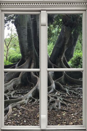 Queence Wandsticker »Wurzeln« Wandsticker, Wandbild, selbstklebend, 3D, Fenster