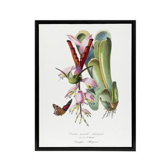 Artery8 Paul Gervais Hummingbird Butterfly & Flower Framed Canvas Art Print in White | Size: W24 x H32