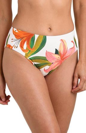 La Blanca Jungle Blossoms Mid Rise Bikini Bottoms in Orange Multi at Nordstrom, Size 10
