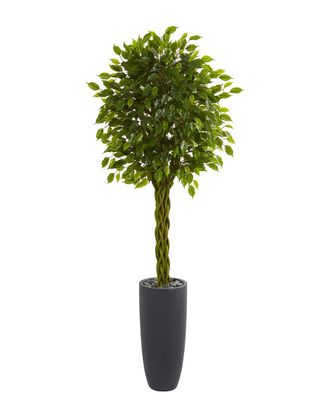Nearly Natural 6.5Ft Braided Ficus Artificial Tree