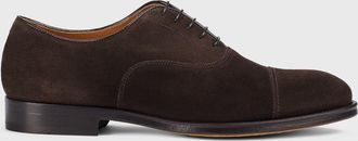 Doucal's Oxford Doucals in camoscio