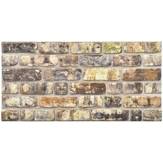 vidaXL Paneles De Pared 10 Pcs Multicolor 100 X 50 Cm Espuma Eps Vidaxl